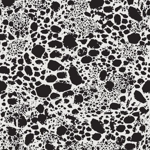 Abstract Animal Print Snakeskin - Black and White