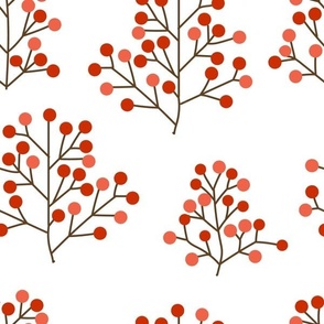 Red berries on snowy white background