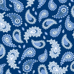 LARGE Modern Hand-Drawn Imperfect Textured Doodle Decorative Paisley on a Dark Blue background