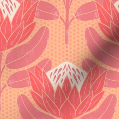 Protea flowers on peach background