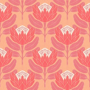 Protea flowers on peach background