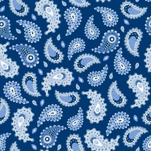 MEDIUM Modern Hand-Drawn Imperfect Textured Doodle Decorative Paisley on a Dark Blue background 