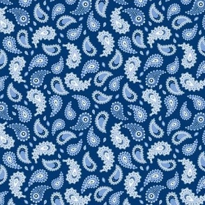 SMALL Modern Hand-Drawn Imperfect Textured Doodle Decorative Paisley on a Dark Blue background 