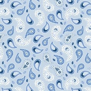 SMALL Modern Hand-Drawn Imperfect Textured Doodle Decorative Paisley on a Light Blue background 