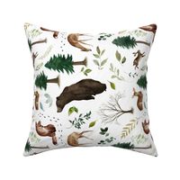 12" Rotated / Woodland Animals in the Forest