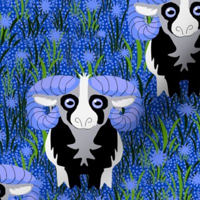 Blue Horned Ram Sheep
