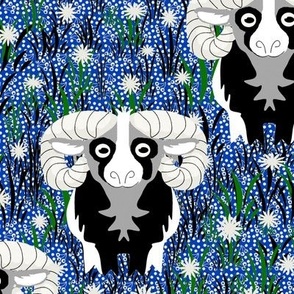 Black and White Horned Ram Sheep on Blue