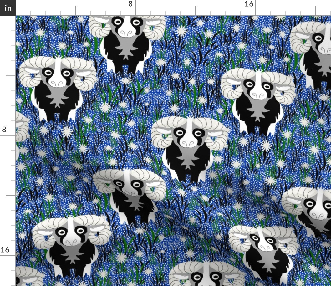 Black and White Horned Ram Sheep on Blue