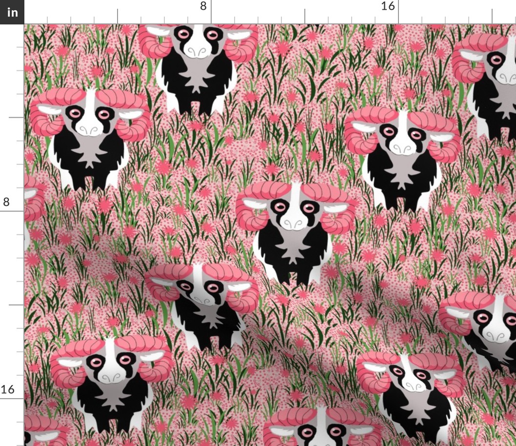 Pink Horned Ram Sheep