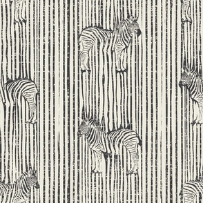 Zebra Ztripes Texture in Charcoal