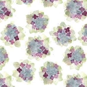 Watercolor Hydrangeas White Background Large