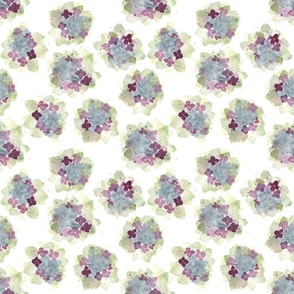 Watercolor Hydrangeas White Background Medium