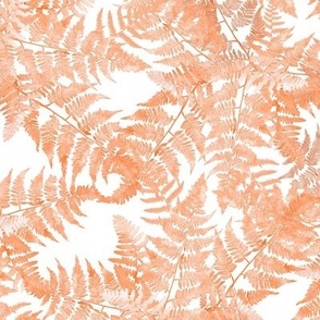 Fern Plants in Shades of Peach Fuzz on White