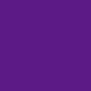 Deep Violet Purple Plain Color Solid #5c1a86