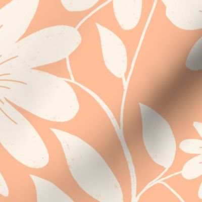 Floriography - White Coneflower - Peach Fuzz