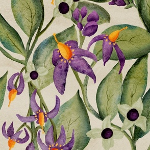  Belladonna Floral Watercolor 