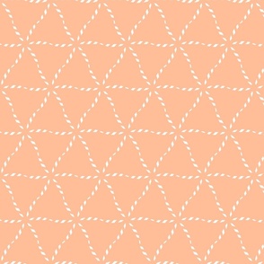 Peach Fuzz Geometric Net / large scale
