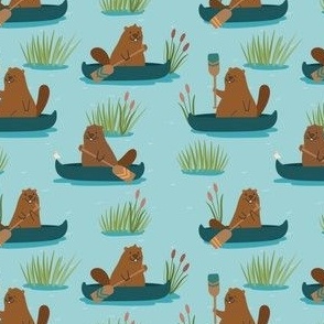 Beavers and Canoes