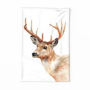 10-point buck deer head antler rack watercolor painting wall hanging tea towel and quilt panel on white