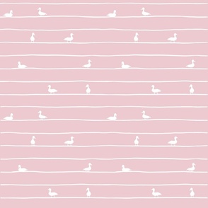 Stripy ducks pink