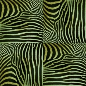 Like_A_Zebra_sage Green_stripes