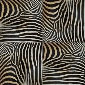 Like_A_Zebra black & white stripe
