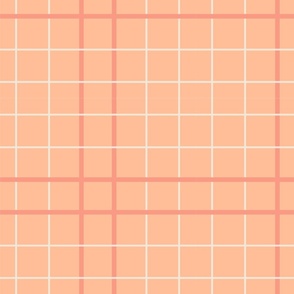 (M) Spring Peach Plaid | Pantone Peach Fuzz | 12 inch