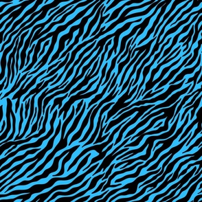 Zebra pattern on Light  Blue