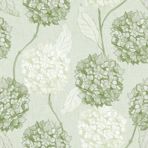 M climbing Hydrangea flowers climbing in soft monochromatic matcha green rococo