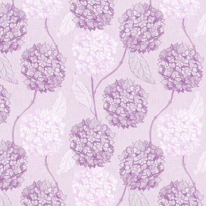M Layered Hydrangea flowers climbing in soft monochromatic lilac lavender purple rococo
