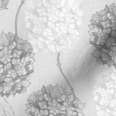 M Layered Hydrangea flowers climbing in soft monochromatic charcoal gray rococo