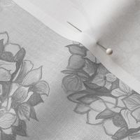 M Layered Hydrangea flowers climbing in soft monochromatic charcoal gray rococo