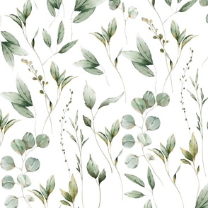 Large- Watercolor Hand Painted Eucalyptus Leaves On White Background