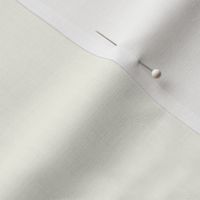 Ecru White Solid-Plain color 