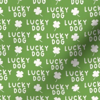 small lucky dog / green