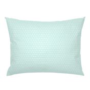 Snowflake Lace    -aqua1