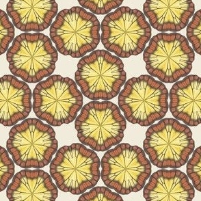 brown_and_yellow_aggadesign_00391