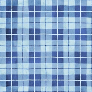 Wonky Watercolor Plaid - Sky Blue