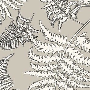 3005 jumbo - Whispering Ferns RP Black Cream