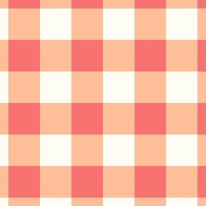 Gingham check checks plaid lumberjack white Peach Fuzz apricot 