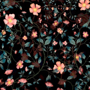 Wild Rose Floriography noire