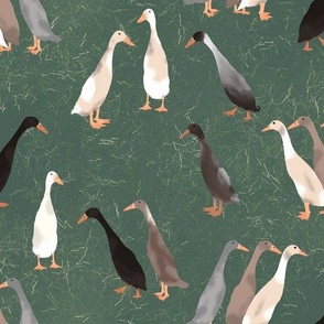 Large Runner Ducks on Pine Green