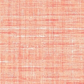 Rough Grasscloth Texture in Peach Fuzz