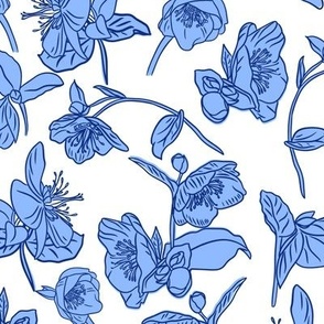 Scattered Hellebores in blue and white, scattered blue flowers large scale