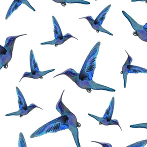Hummingbird- Blue
