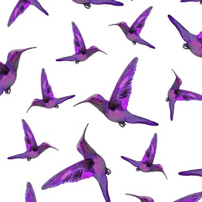 Hummingbird- Purple