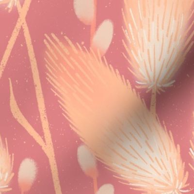 Fuzzy Peach Grass Plumes (pink)