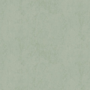 muted earthy green textured solid - Surreal city coordinate