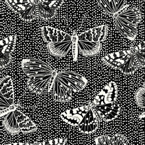 Moths Black and White Pattern