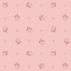 Dainty Daisy | Tea Rose Pink | Sweet Summer 